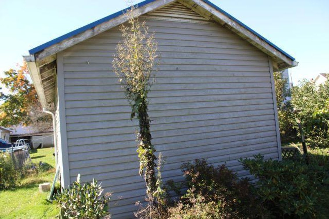 Image for Shirley Doup Estate
