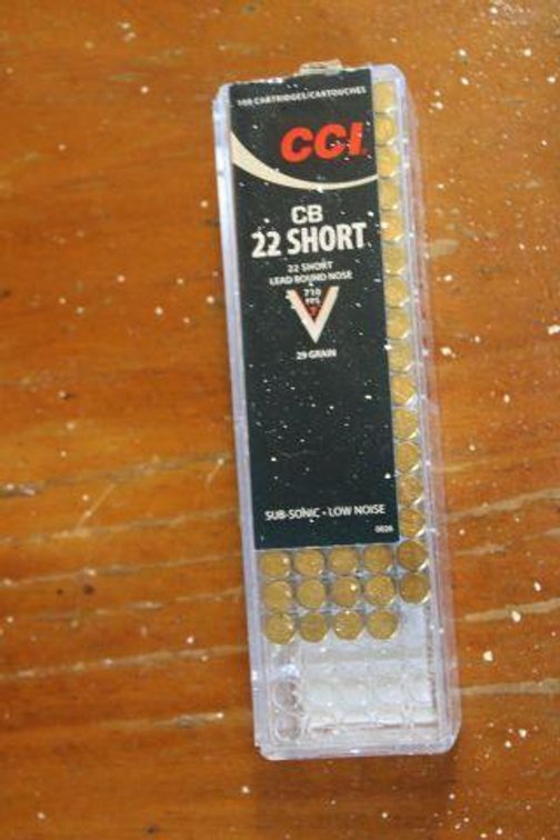 CCI 22 SHORT AMMO