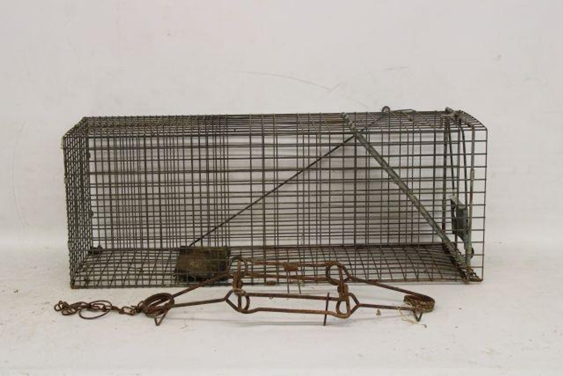 VARMIT TRAPS