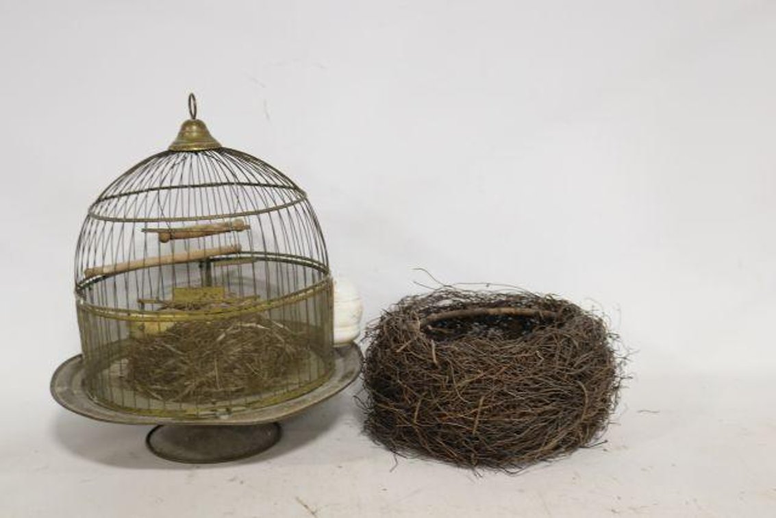 BIRD CAGE AND NEST