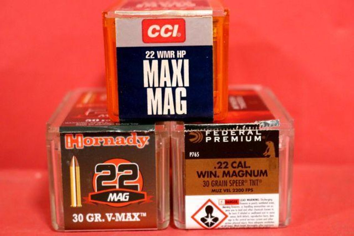 .22 MAGNUM AMMO