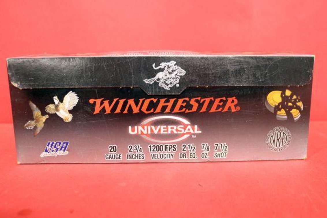 20 GAUGE AMMO