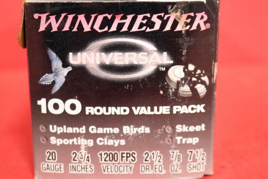 20 GAUGE AMMO