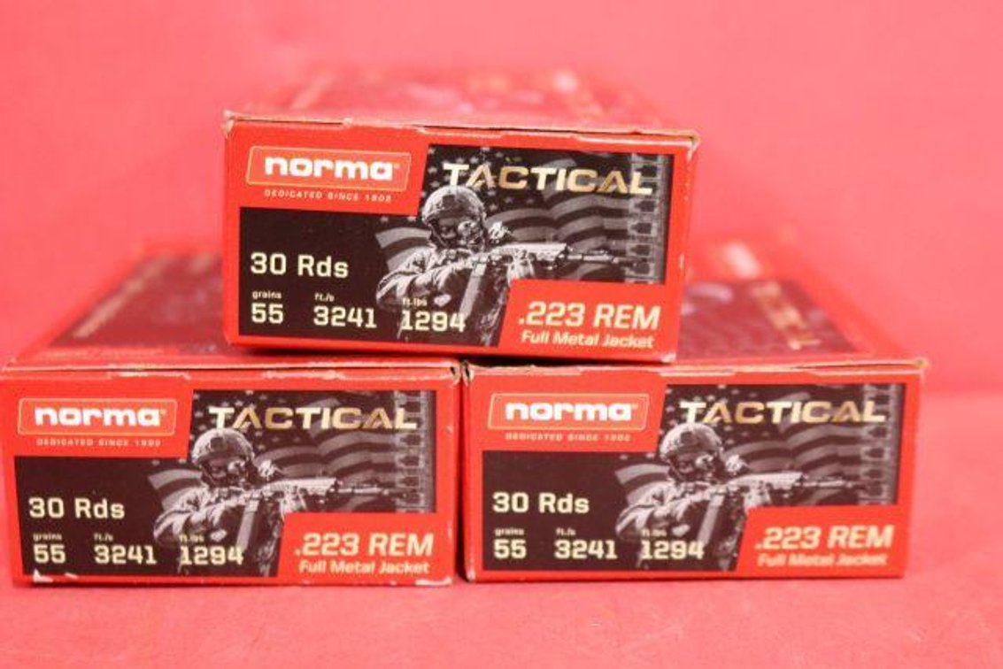 .223 REM AMMO