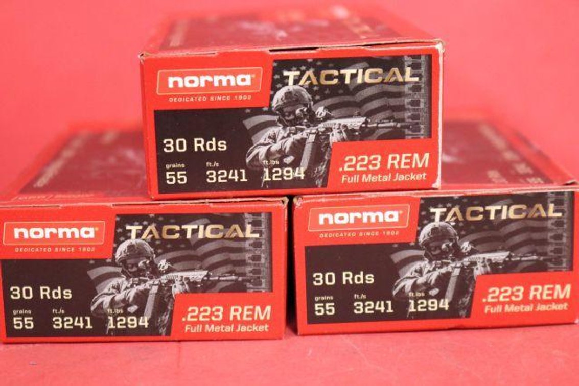 .223 REM AMMO