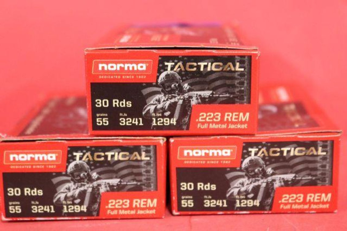 .223 REM AMMO