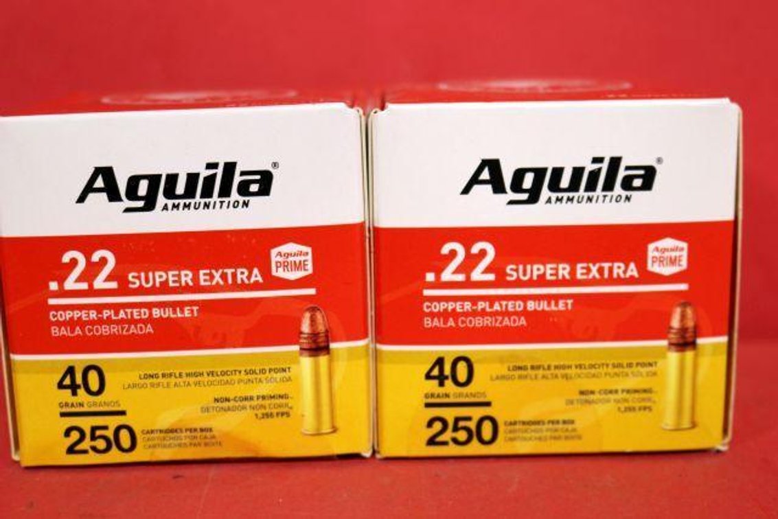 .22LR AMMO
