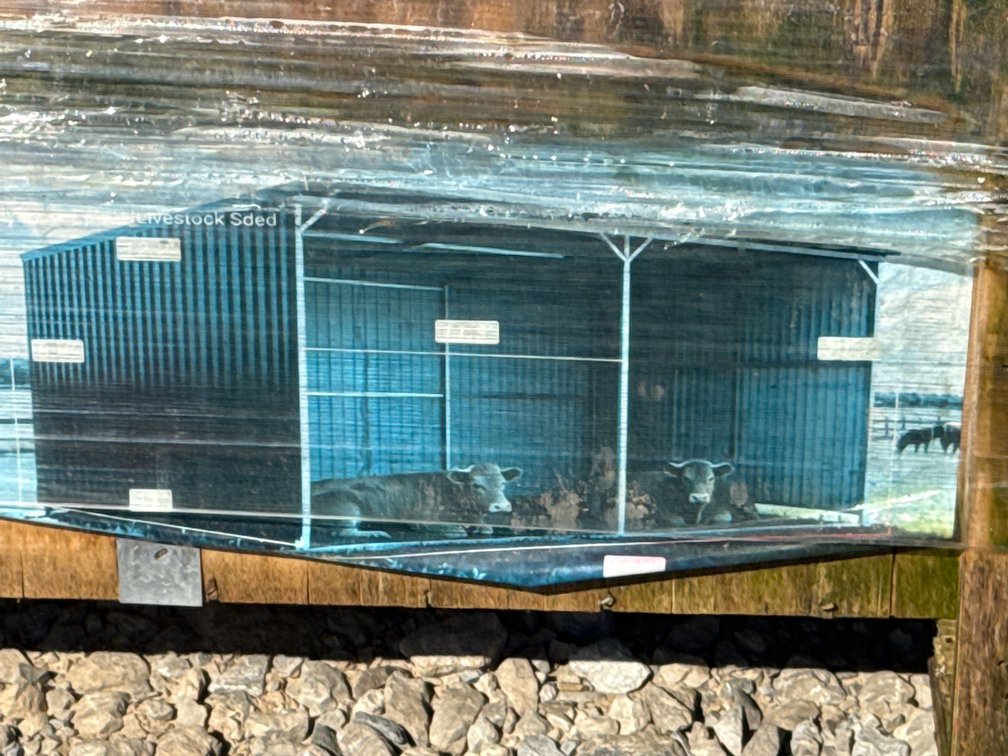 LIVESTOCK SHED