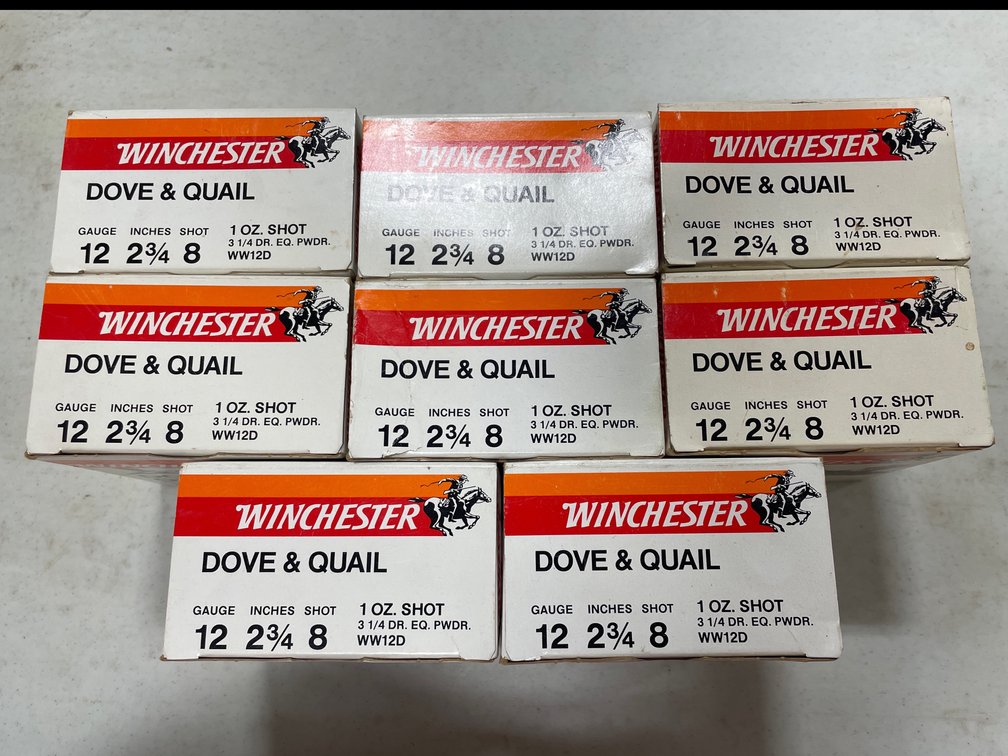 12G #8 AMMO