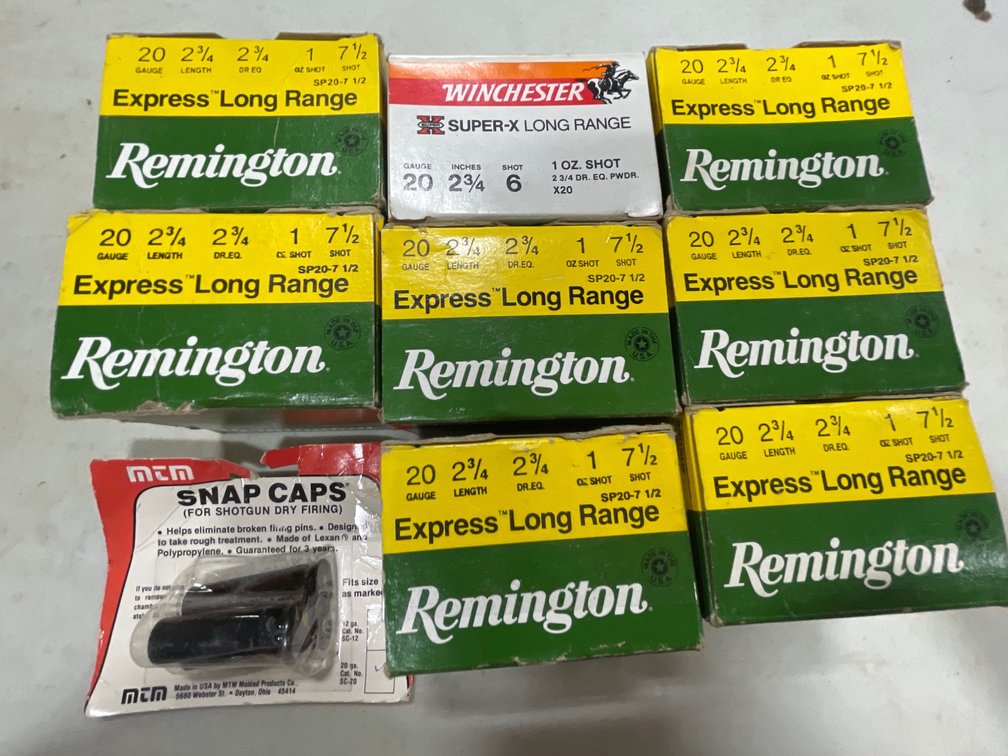 20G AMMO