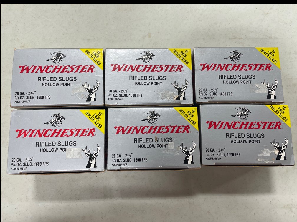 20G SLUGS