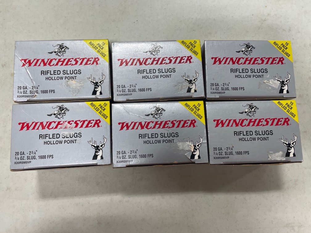 20G SLUGS