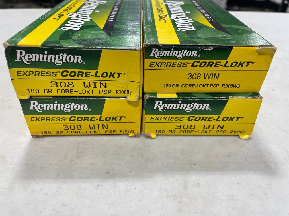 308WIN AMMO