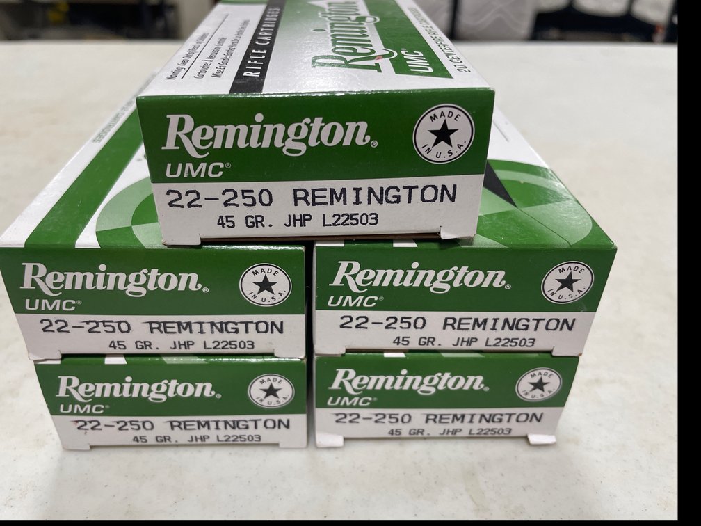 22-250 AMMO