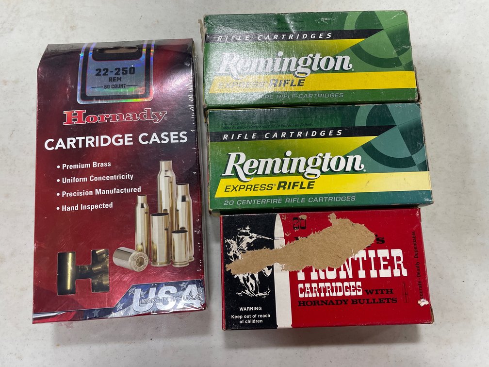 22-250 AMMO & CASINGS