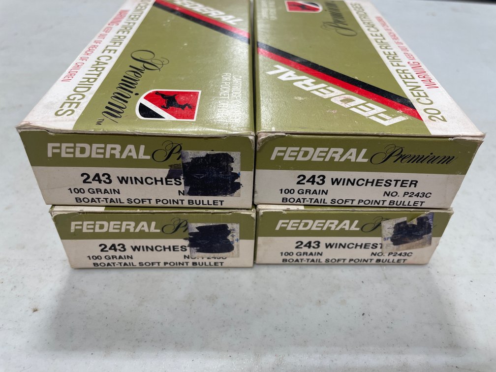 243WIN AMMO
