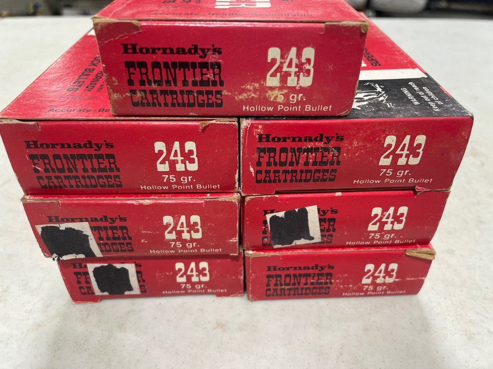 243WIN HP AMMO