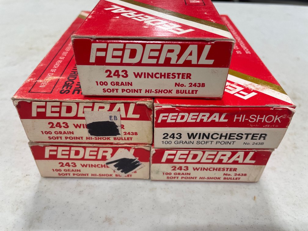 243WIN AMMO