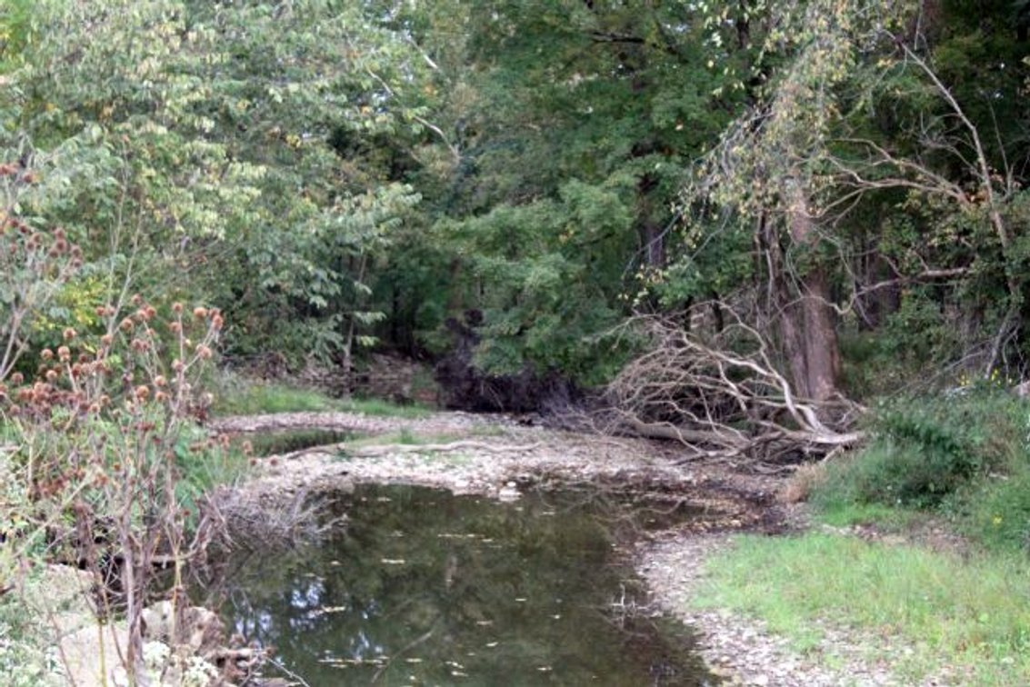 Image for 52+ ACRES - SELLS ABSOLUTE - REGARDLESS OF PRICE