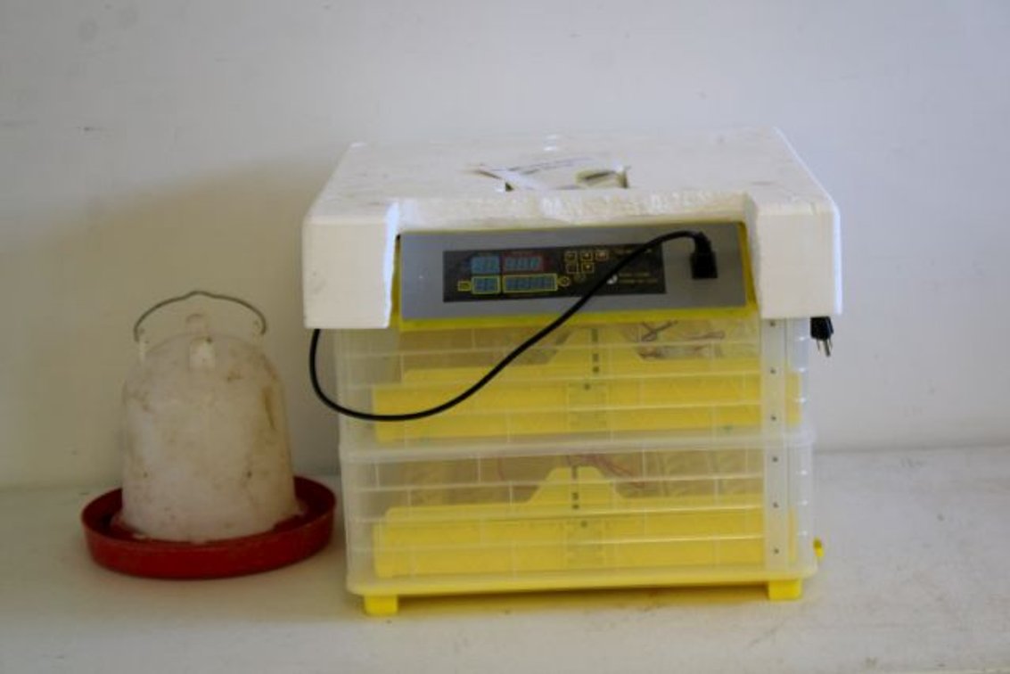 EGG INCUBATOR