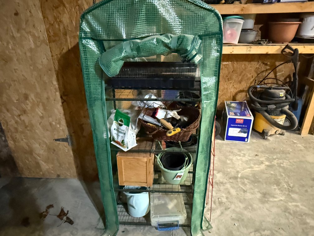SHELF CONTENTS & GREEN HOUSE