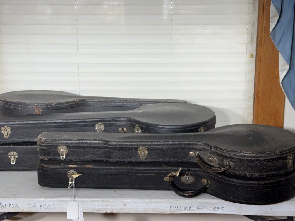 BANJO CASES