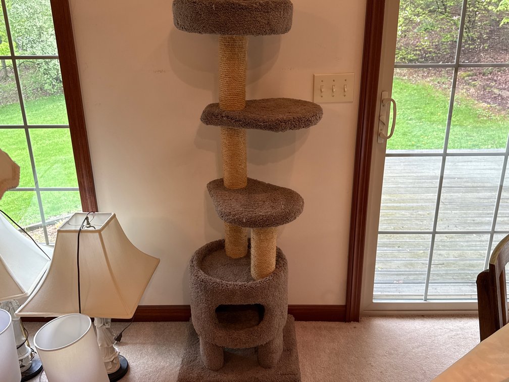 CAT TREE 