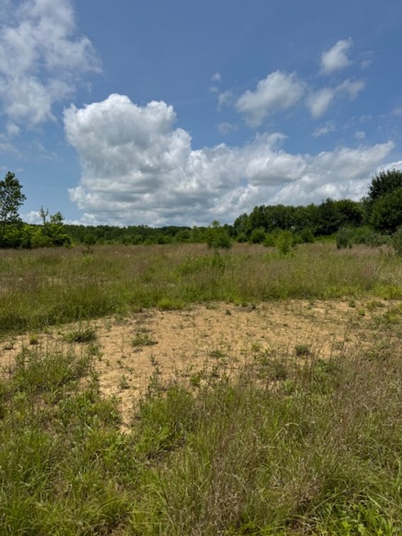 Image for 21+ ACRES MORROW COUNTY