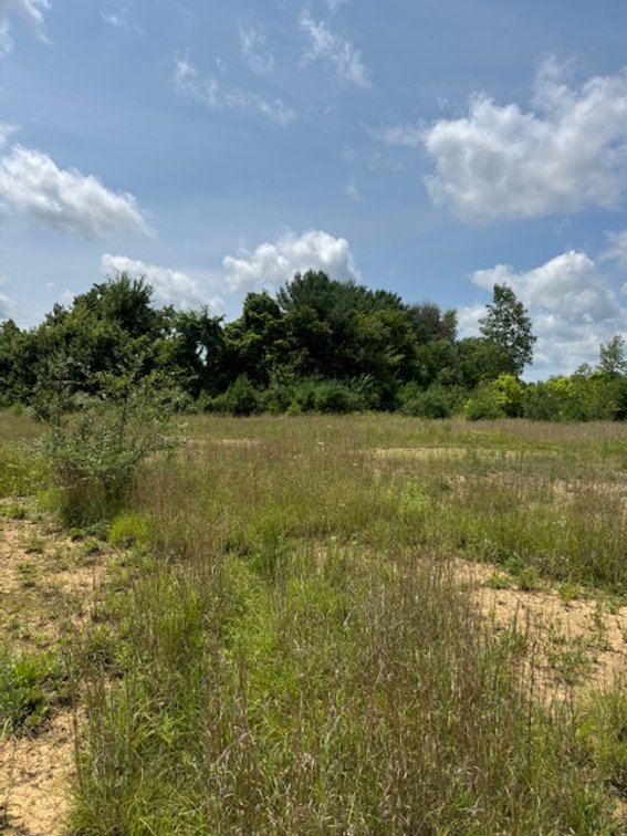 Image for 21+ ACRES MORROW COUNTY