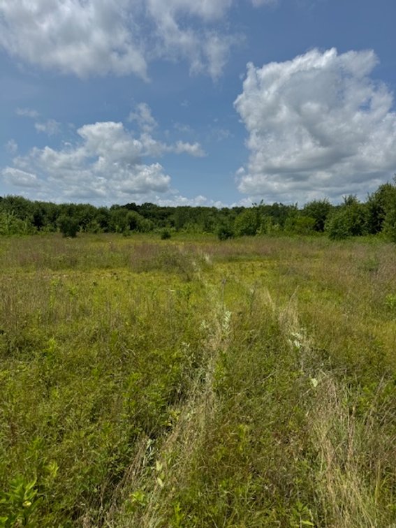Image for 21+ ACRES MORROW COUNTY