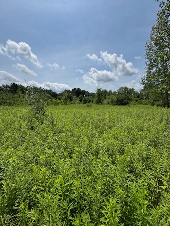 Image for 21+ ACRES MORROW COUNTY