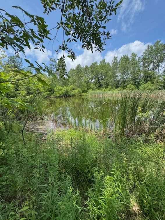 Image for 21+ ACRES MORROW COUNTY