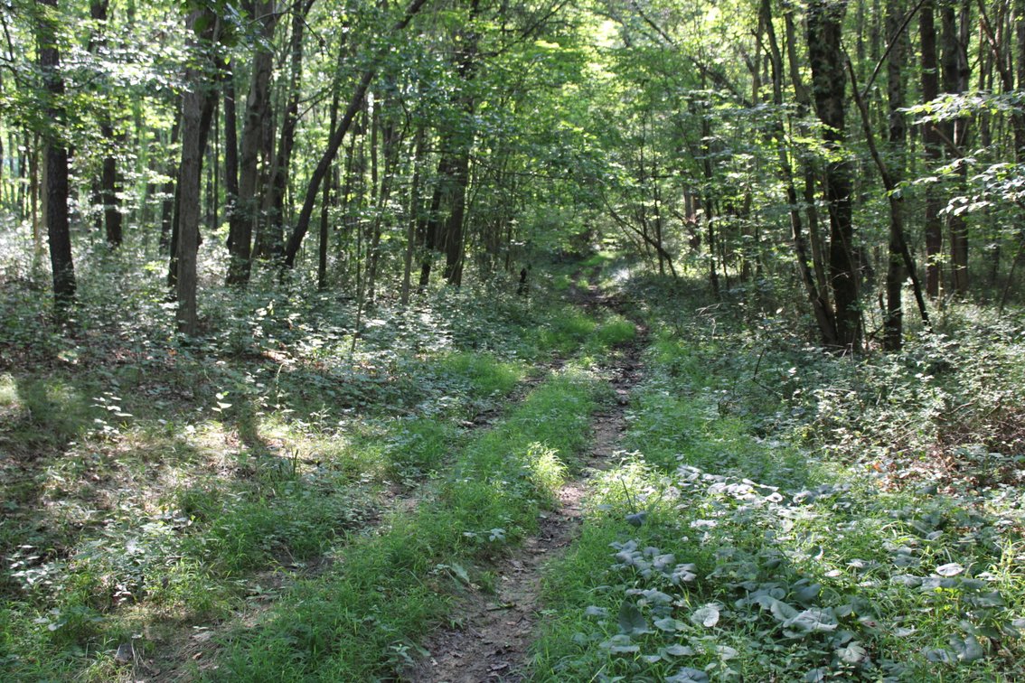 Image for DEAL RD GAMIER, OH - 49 ACRES