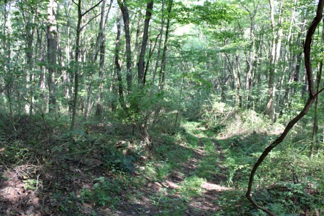 Image for DEAL RD GAMIER, OH - 49 ACRES