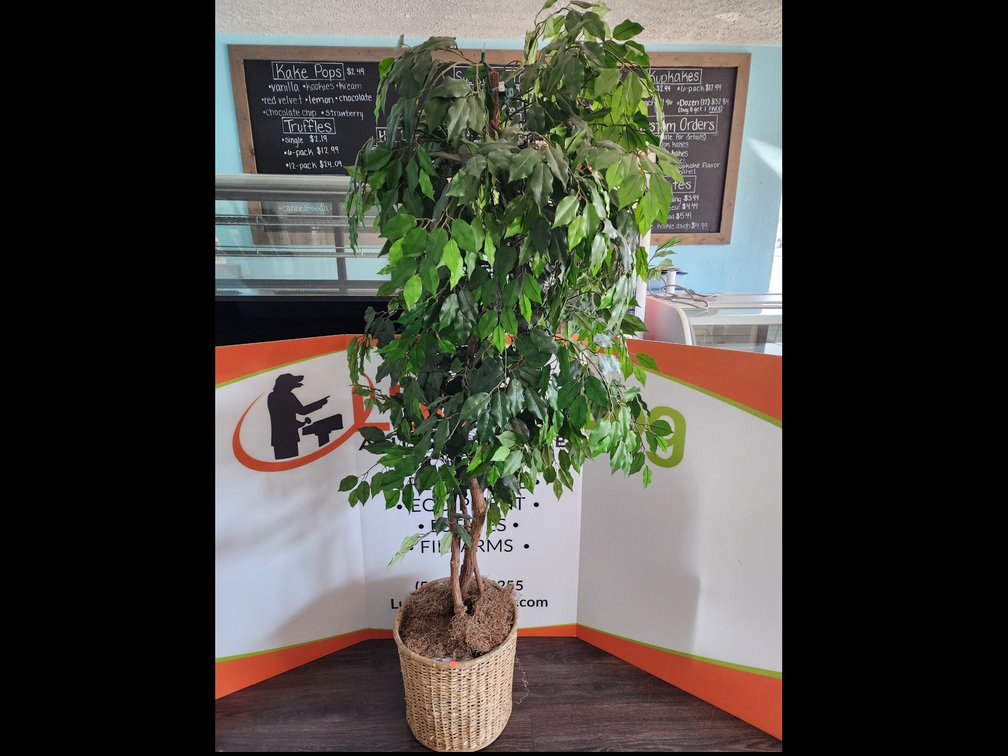 7' Faux Fig Tree