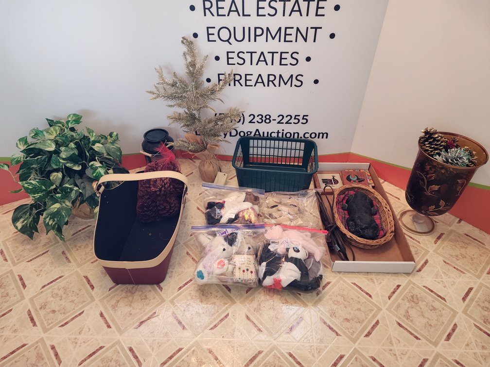 TY Beanie Babies - Faux Plant - Decrotive Pine Cones and More