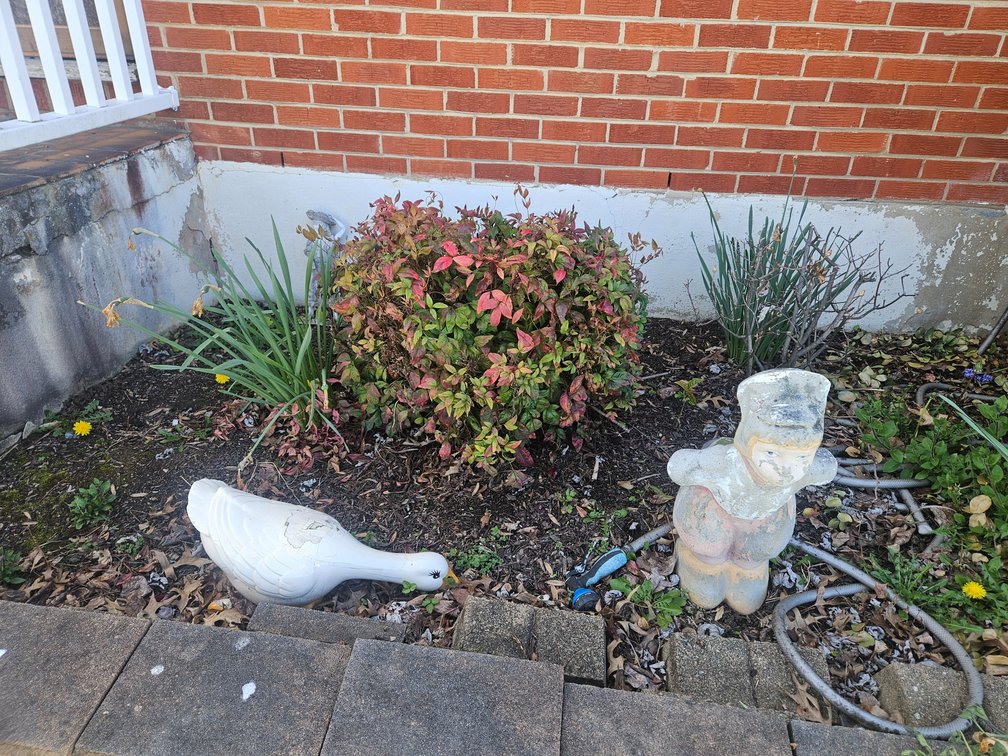 Yard Art and More 