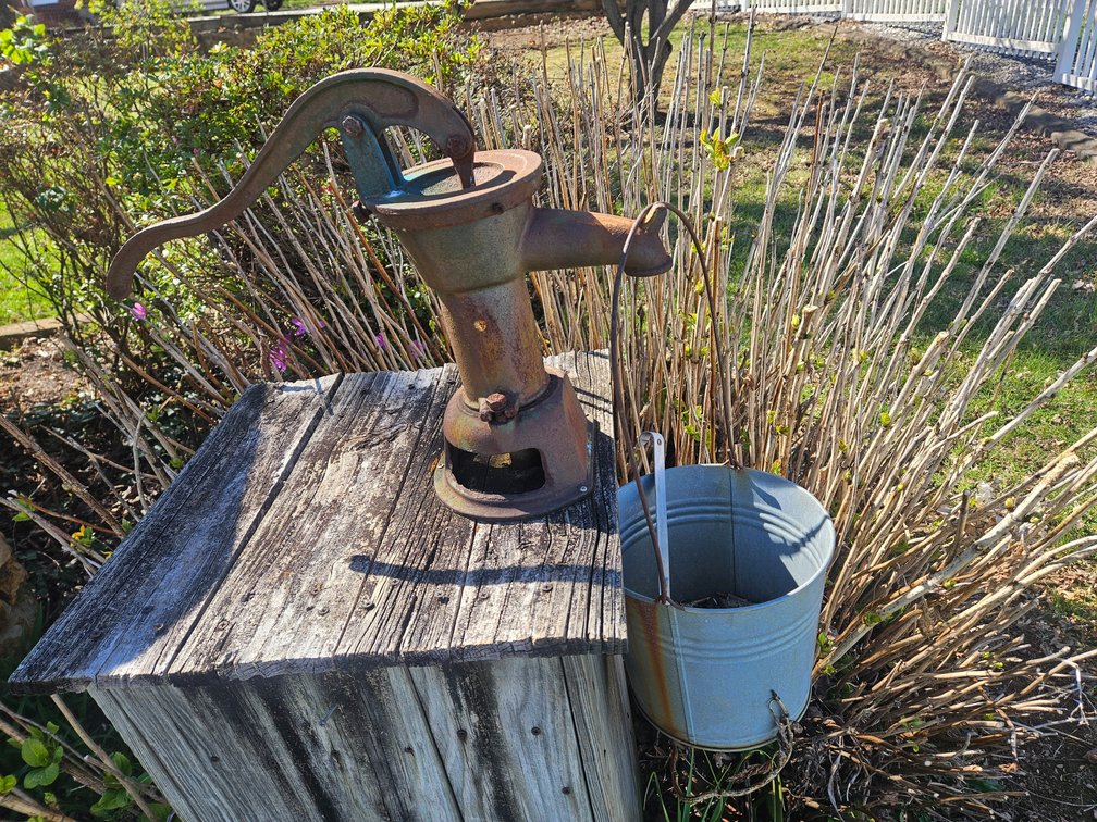 Cast Iron Pitcher Hand Water Pump W/Bucket 