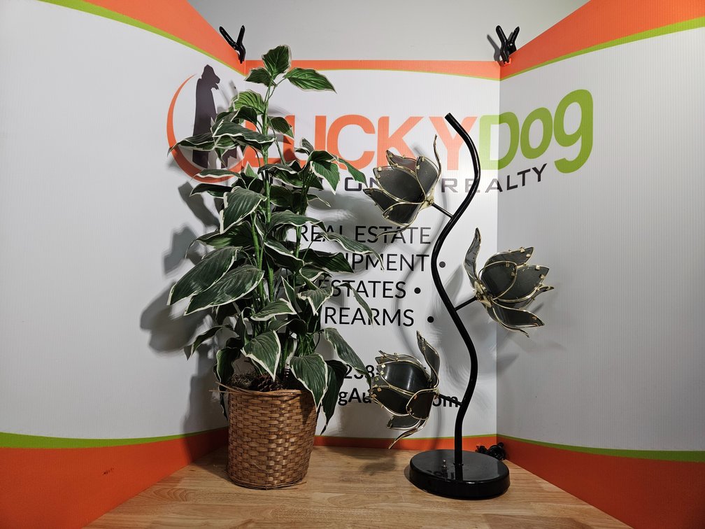 Flower Lamp and Artificial Flowers 