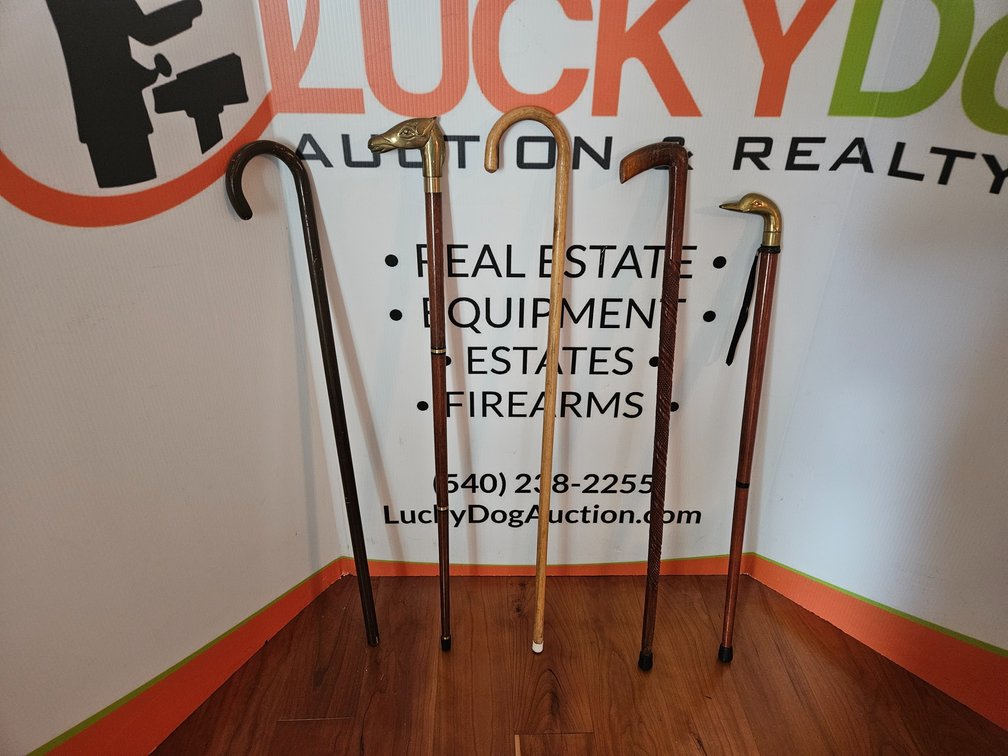 Walking Canes 5 Included 