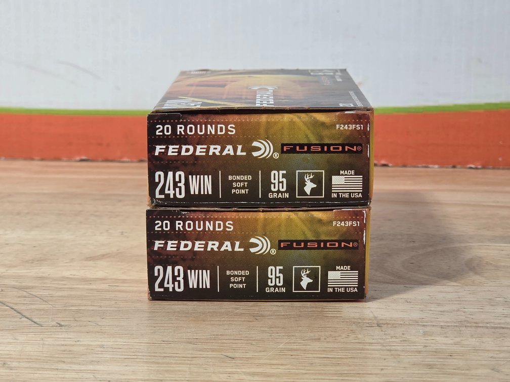 Federal Fusion 243 Win BSP 95Gr (2) Boxes of 20
