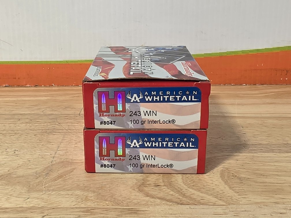 Hornady American Whitetail 243 Win 100Gr Interlock (2) Boxes of 20