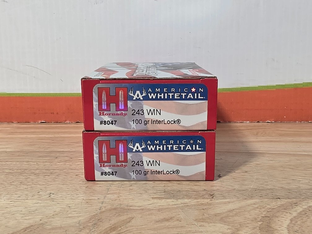 Hornady American Whitetail 243 Win 100Gr Interlock (2) Boxes of 20