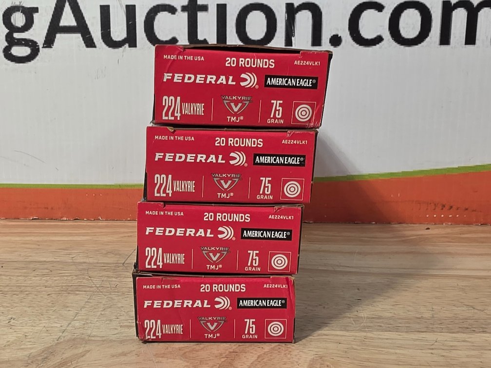 Federal American Eagle 224 Valkyrie 75 Gr TMJ (4) Boxes of 20