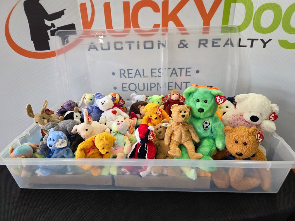 50+ TY Beanie Babies in Plastic Tote w/ Lid