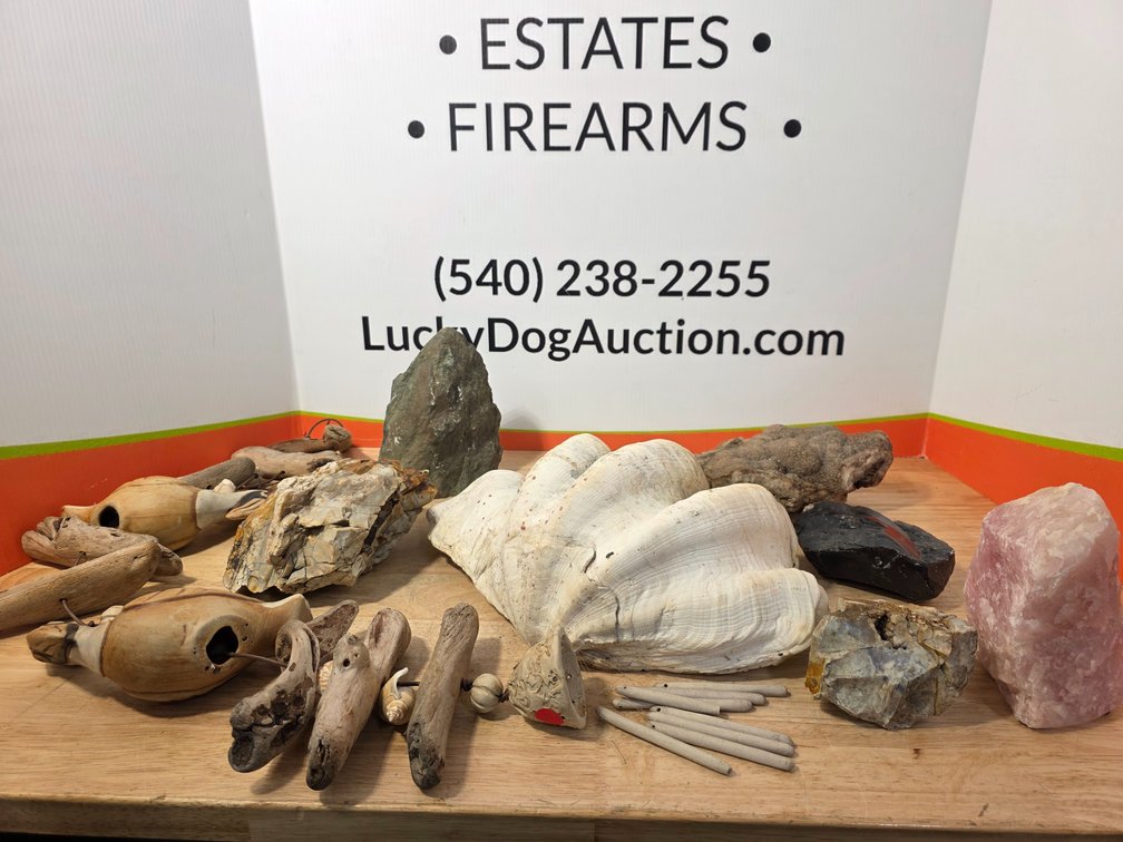 Clam Shell & Driftwood Art - Various Rocks and Minerals
