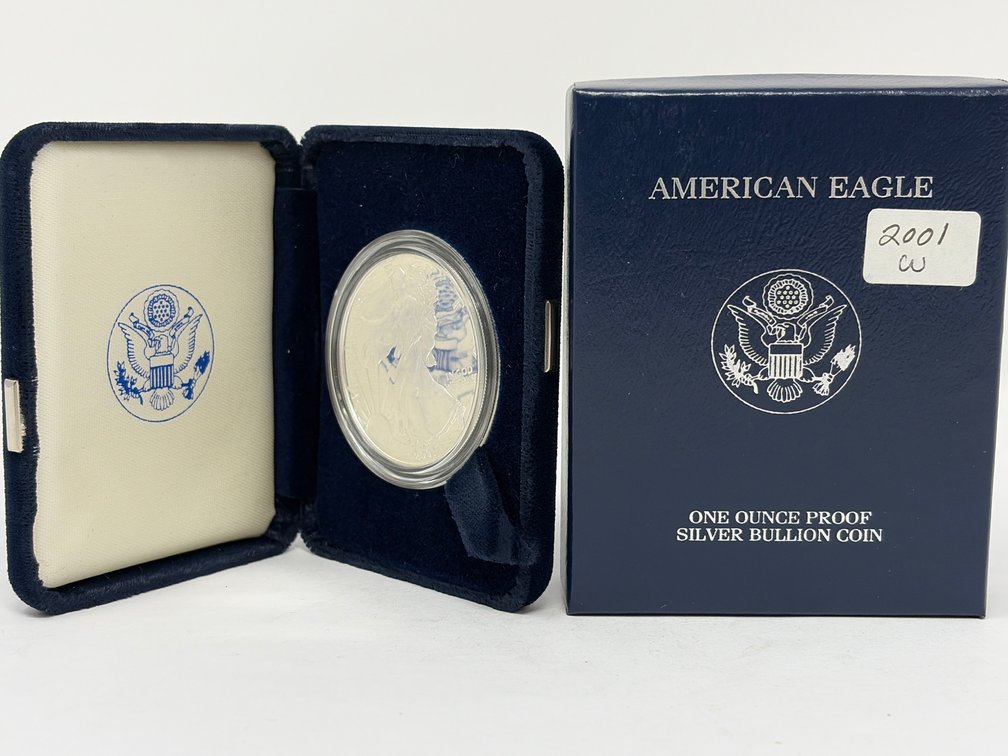 2001-W American Silver Eagle Coin