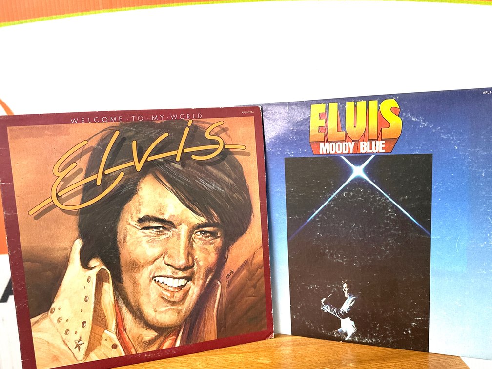 Elvis Presley Welcome to My World and Moody Blue Vinyl Albums
