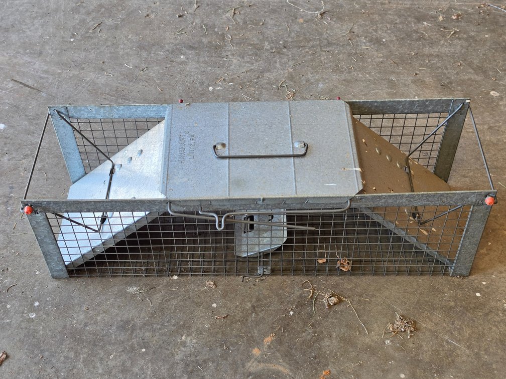 Live Animal Trap