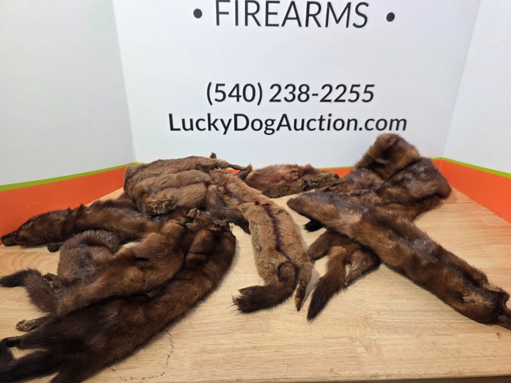 Brown Mink Fur Pelt Stoles with Mounted Heads and Paws